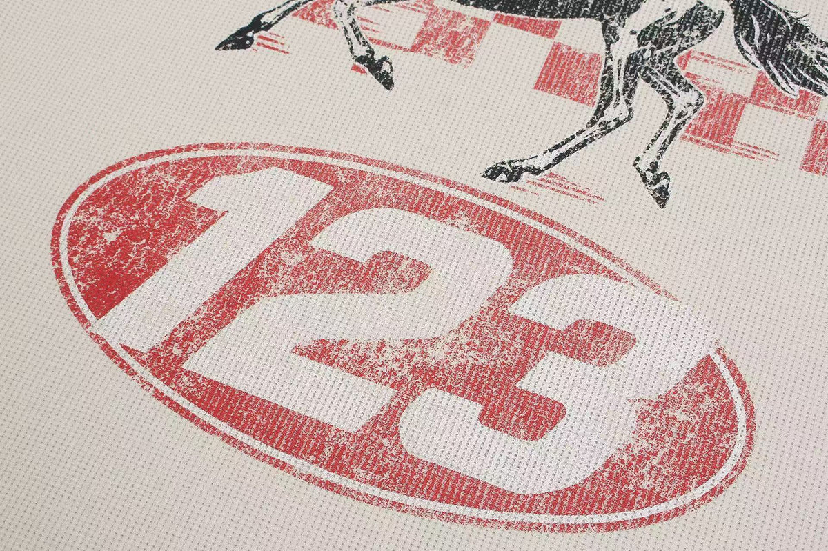 Color Block Skeleton Horse Racing Graphic Waffle Knit Long Sleeve - OMYGOODS
