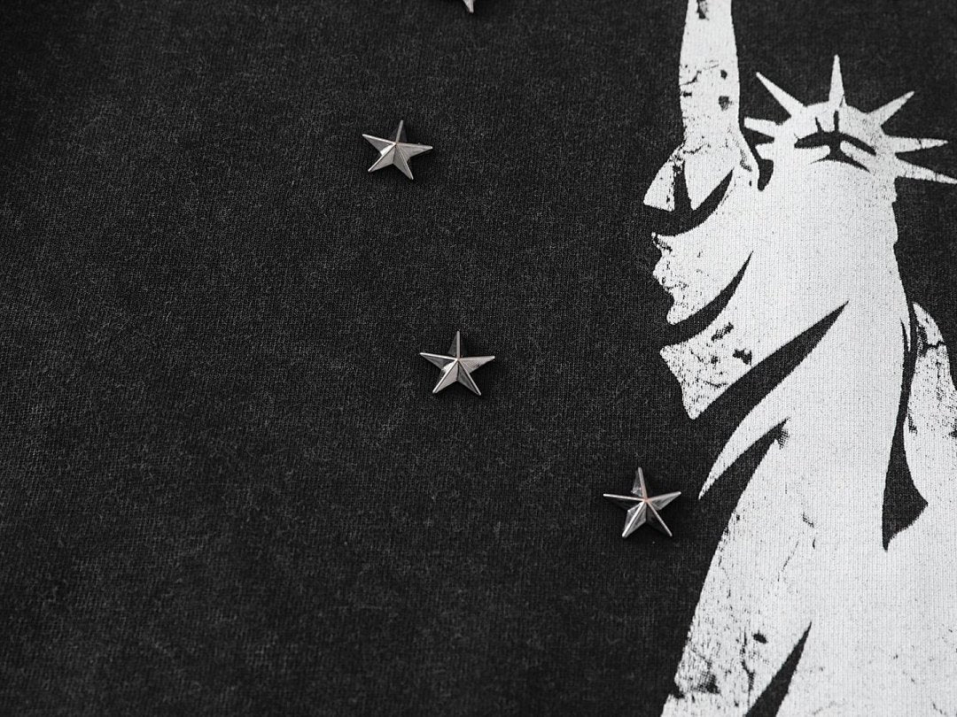 Statue of Liberty Print and Star Details T-Shirt